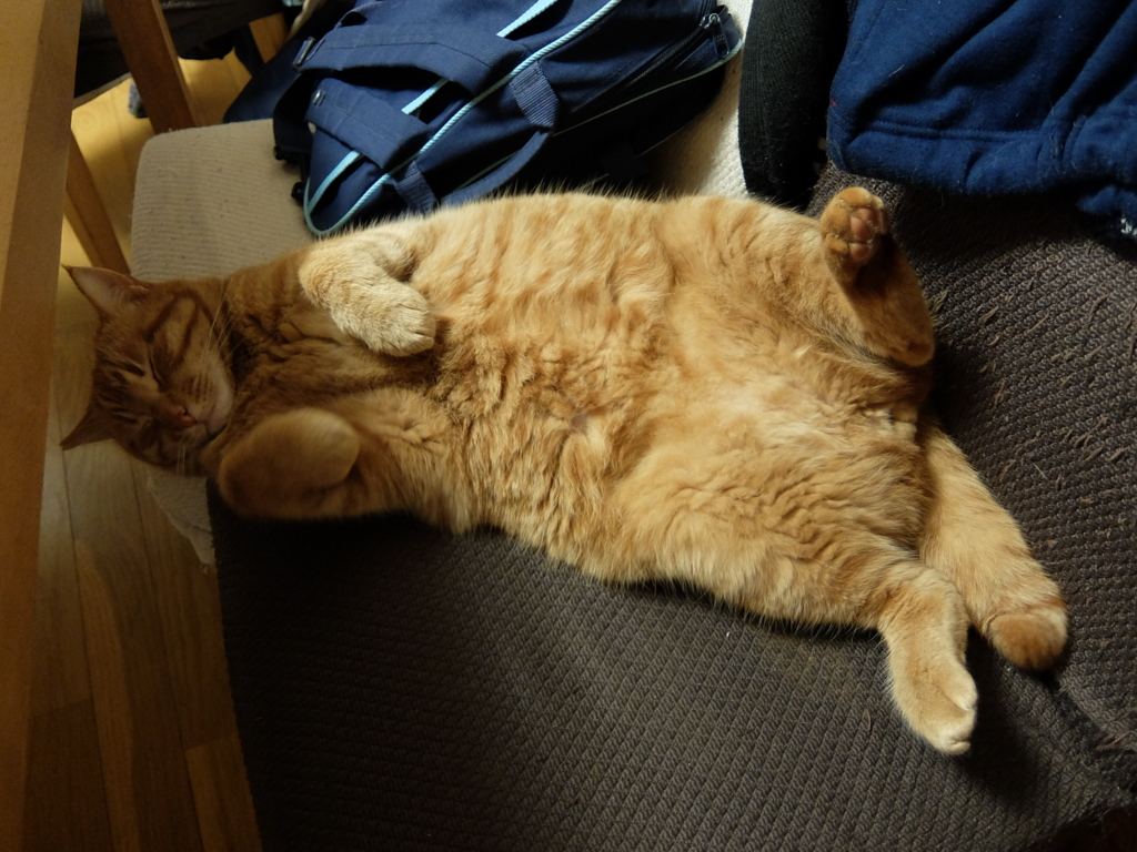 f:id:ley-line:20160214190956j:plain