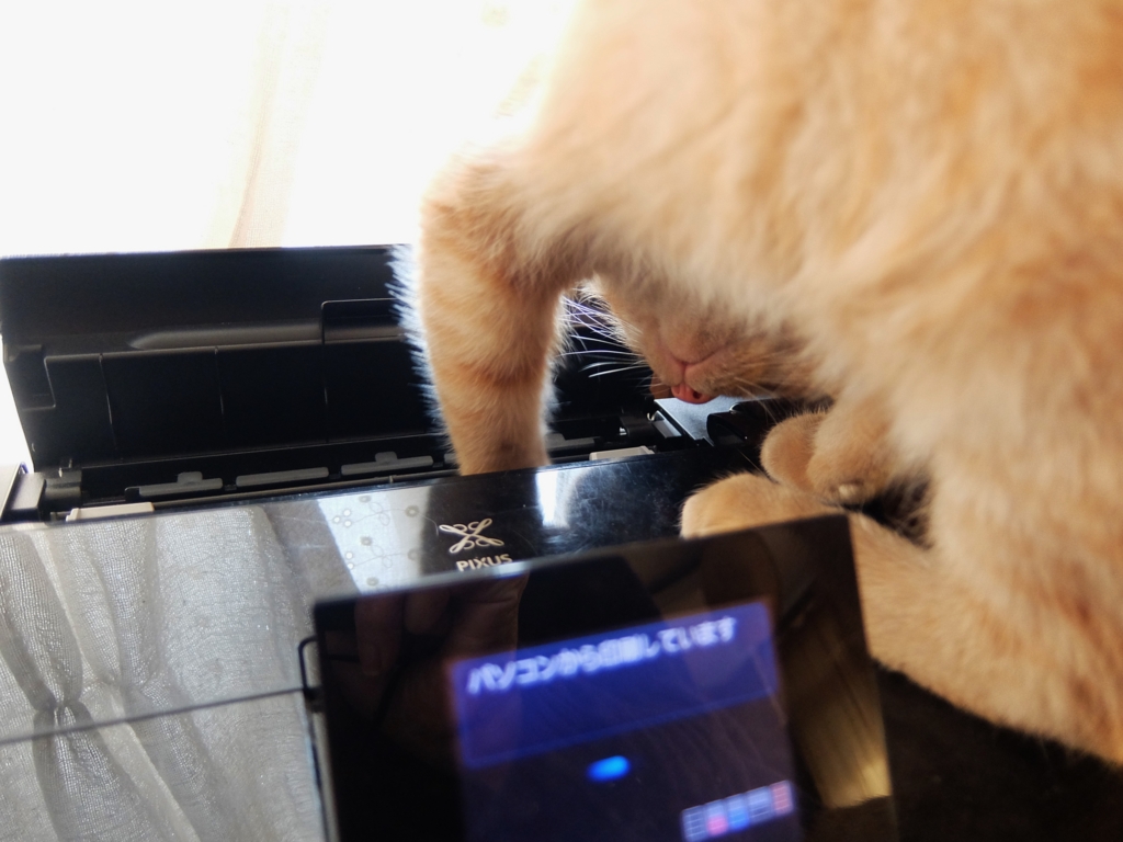 f:id:ley-line:20160214191024j:plain