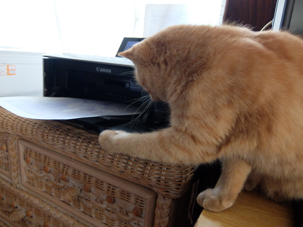 f:id:ley-line:20160214191101j:plain