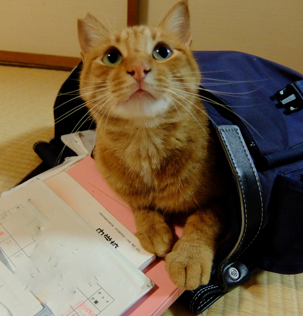 f:id:ley-line:20160214213628j:plain