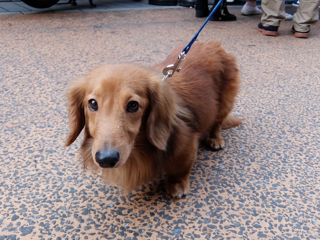 f:id:ley-line:20160414212030j:plain