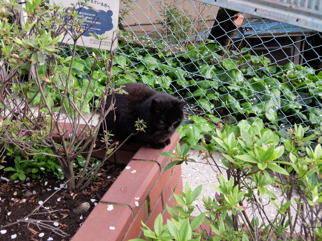 f:id:ley-line:20160414220907j:plain