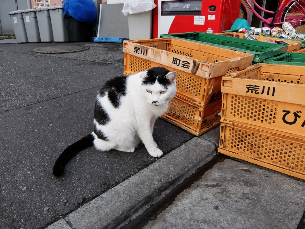 f:id:ley-line:20160414221021j:plain