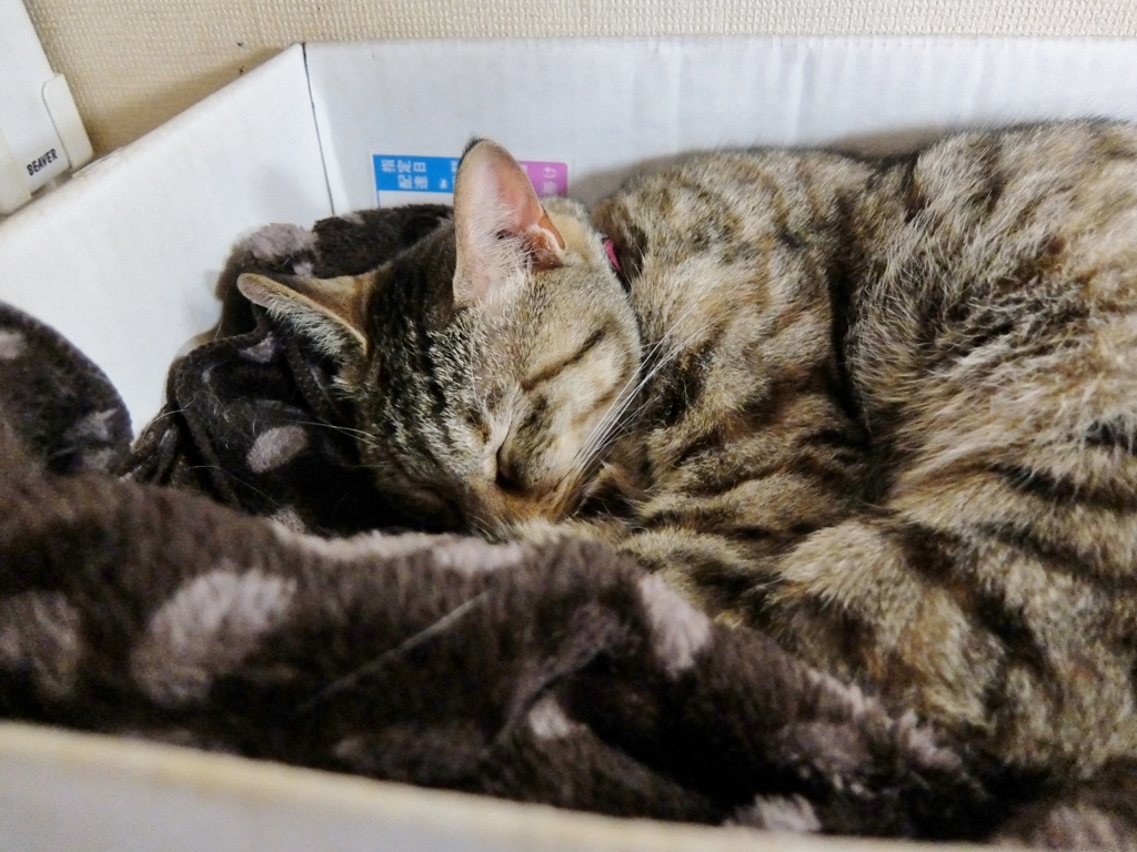 f:id:ley-line:20160414221255j:plain