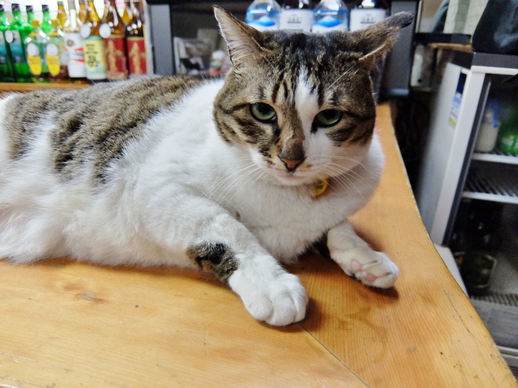 f:id:ley-line:20160414221338j:plain