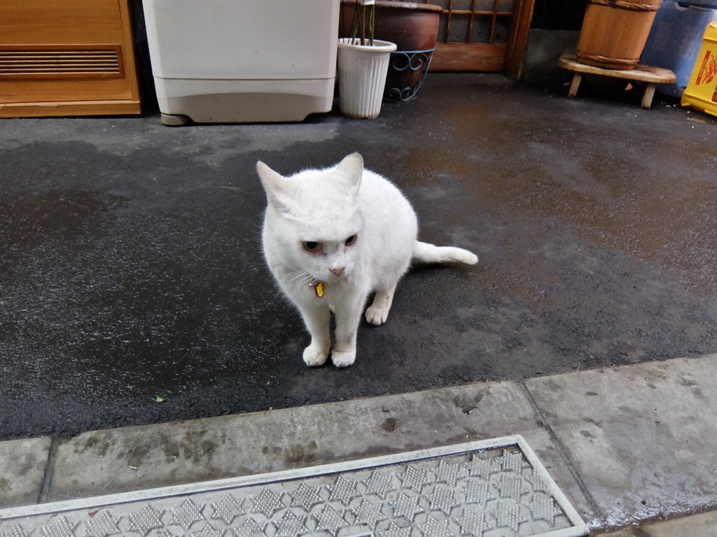 f:id:ley-line:20160414221433j:plain