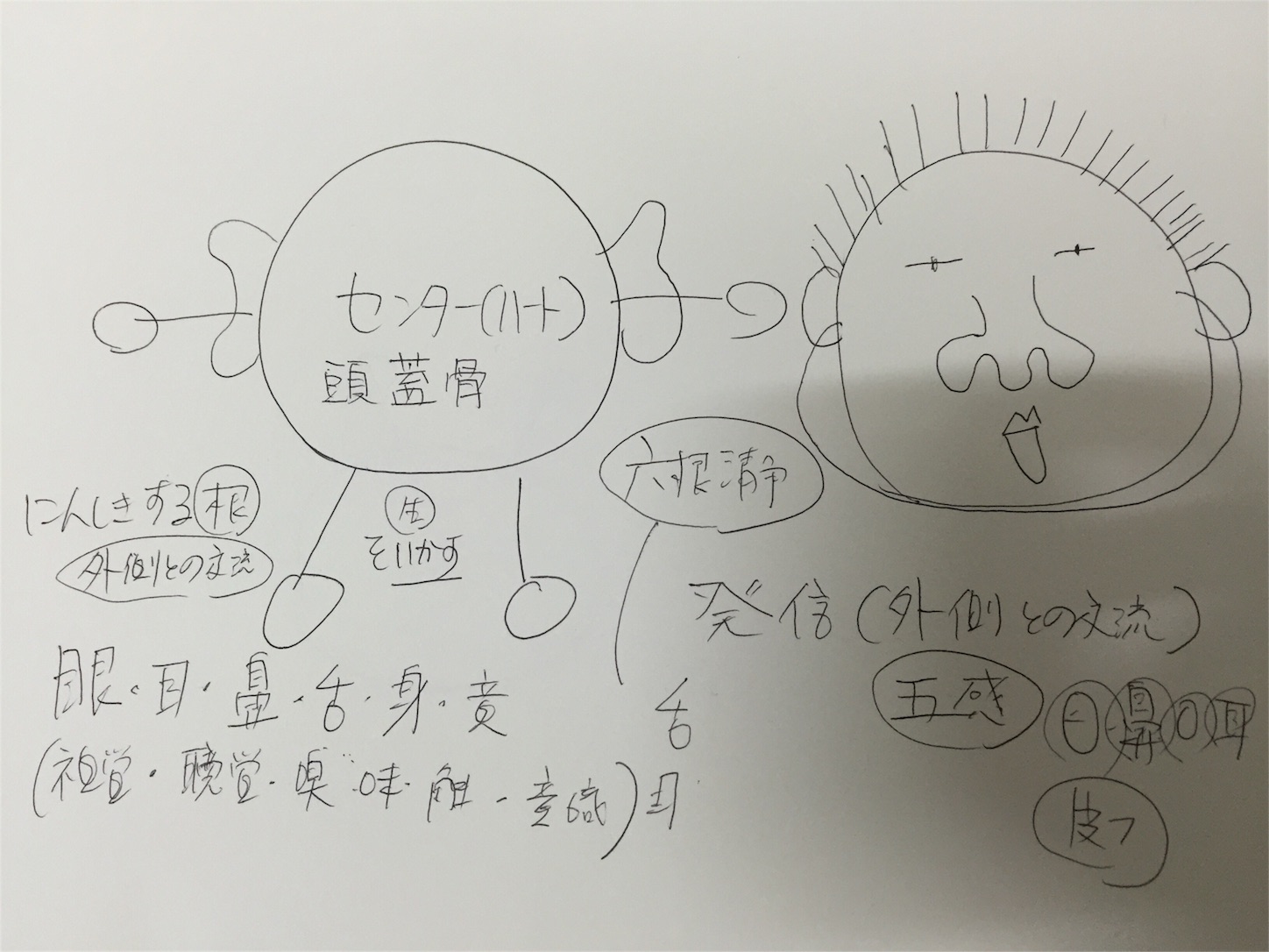 f:id:lgbttokoya:20160304080400j:image f:id:lgbttokoya:20160304080400j:image