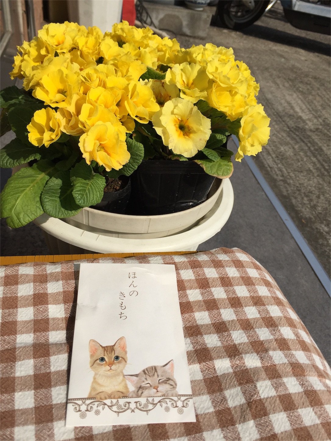 f:id:lgbttokoya:20160306094308j:image f:id:lgbttokoya:20160306094308j:image