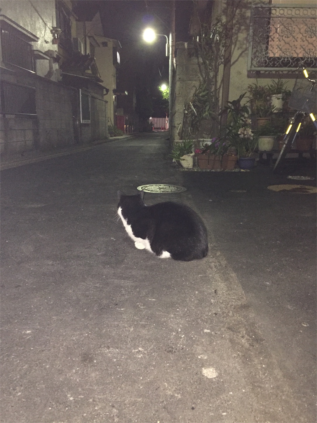 f:id:lgbttokoya:20160418094101j:image f:id:lgbttokoya:20160418094101j:image