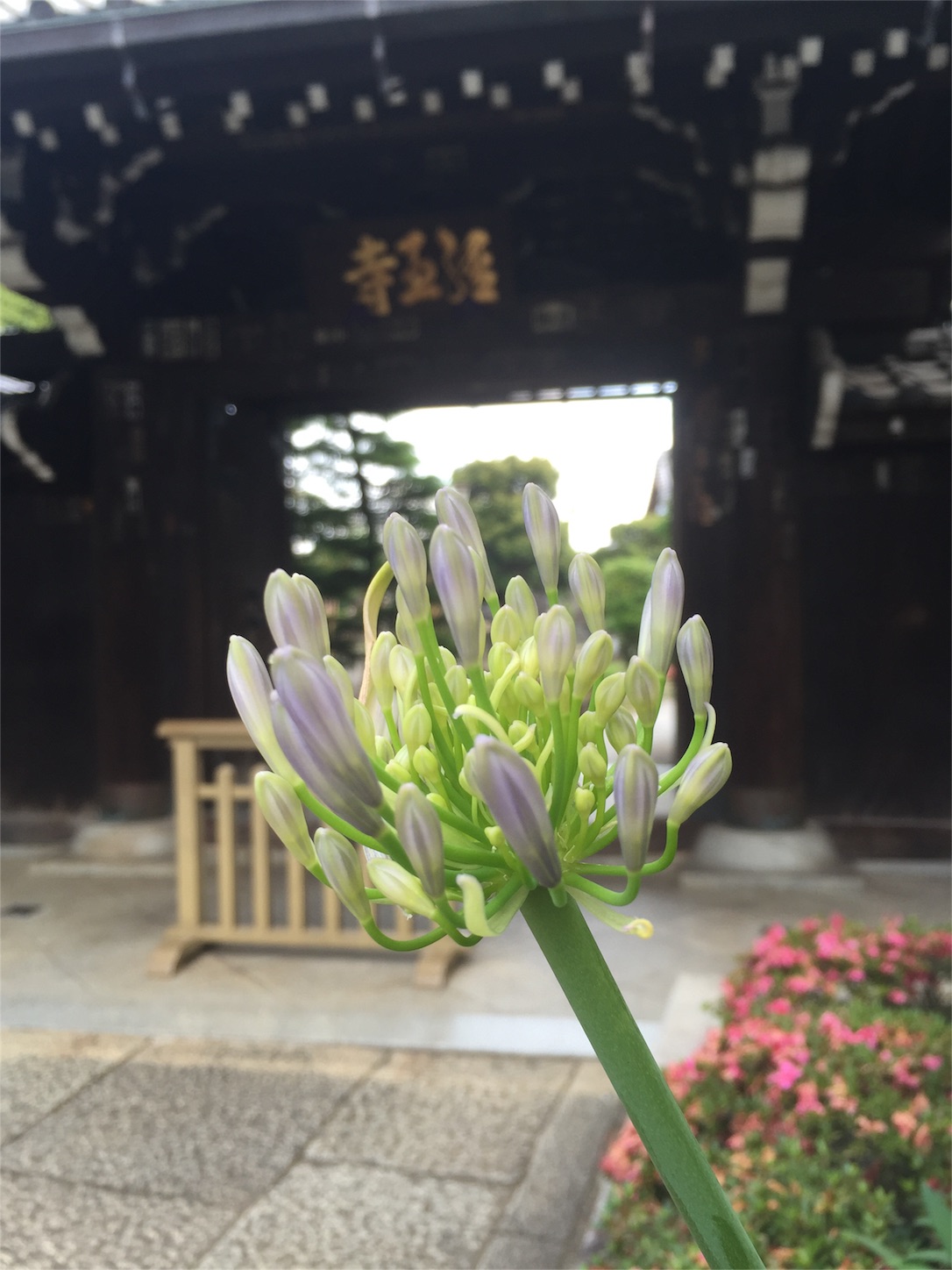 f:id:lgbttokoya:20160612223816j:image f:id:lgbttokoya:20160612223816j:image