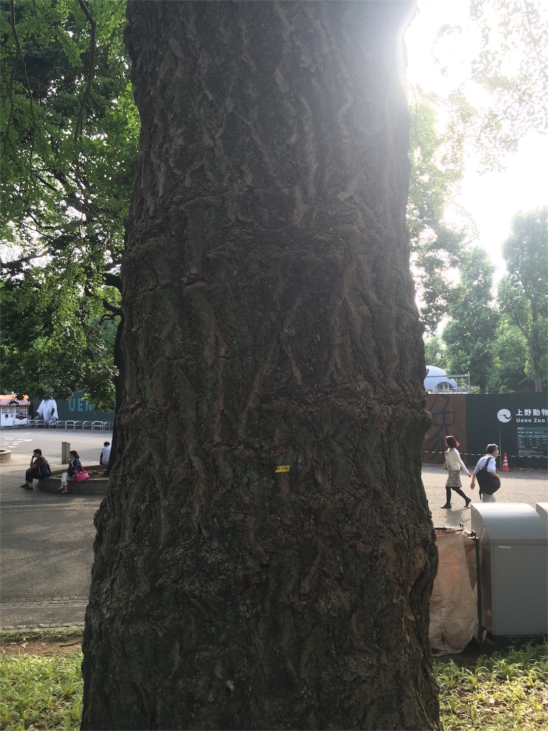f:id:lgbttokoya:20160612223853j:image f:id:lgbttokoya:20160612223853j:image
