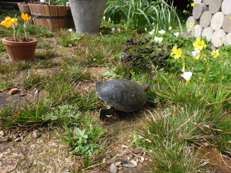 f:id:libertyhouse:20150225132539j:plain f:id:libertyhouse:20150225132539j:plain