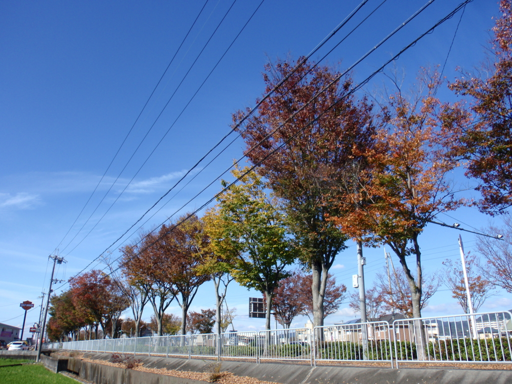 f:id:libertyhouse:20151111103544j:plain f:id:libertyhouse:20151111103544j:plain