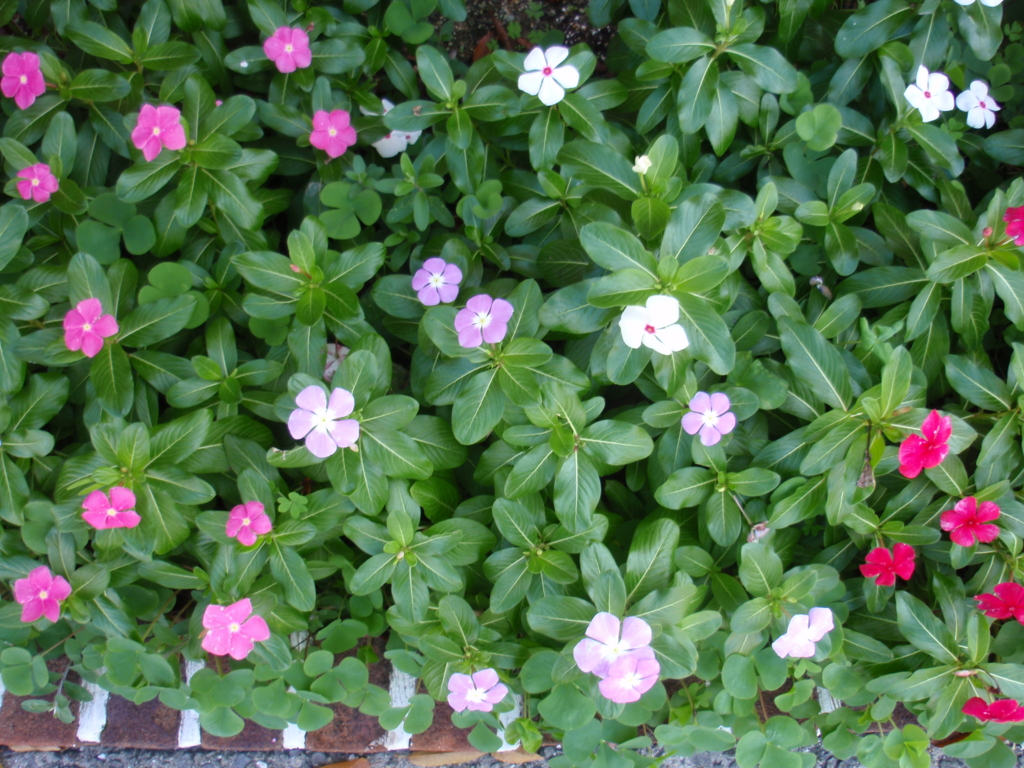 f:id:libertyhouse:20151116165107j:plain f:id:libertyhouse:20151116165107j:plain