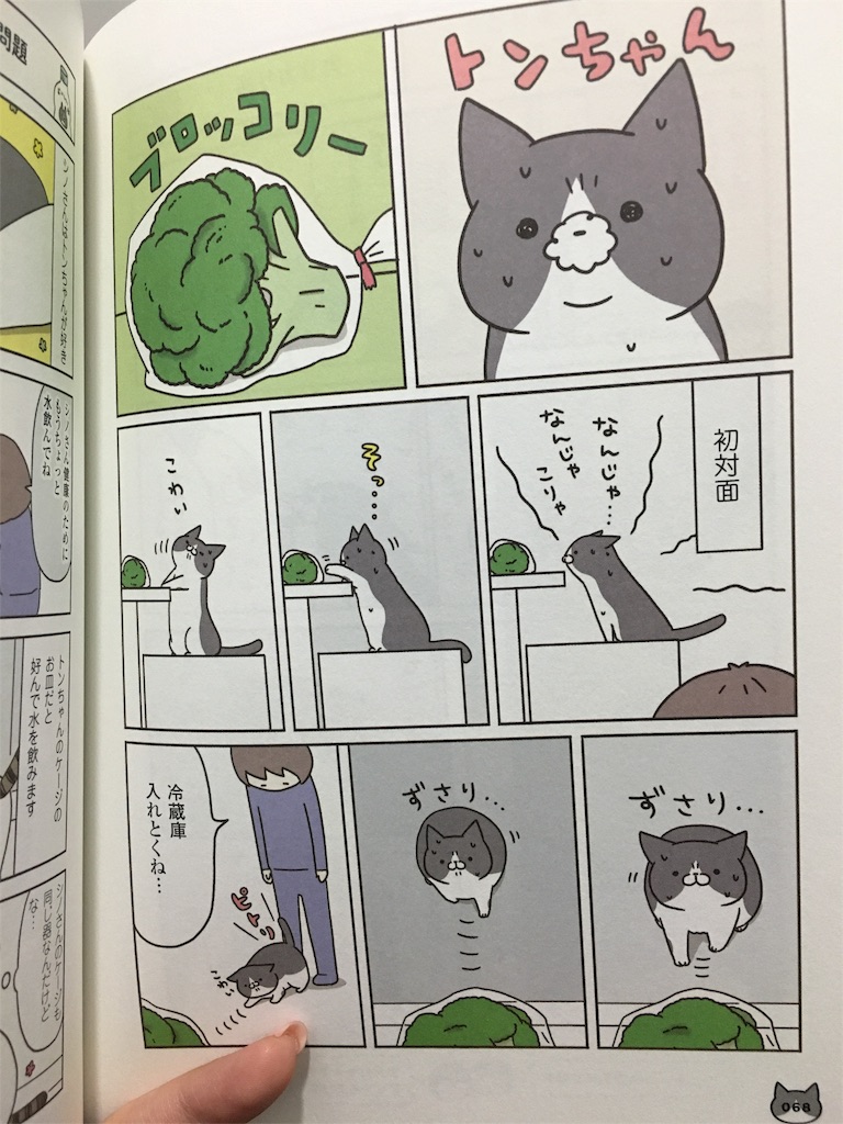 し こと な てる うち 猫 また が の 変