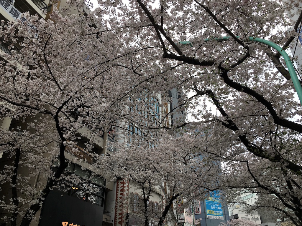 f:id:librarian_kinu:20160405055611j:image f:id:librarian_kinu:20160405055611j:image