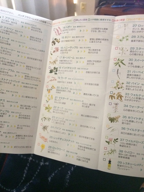 f:id:lifeofmiho:20150201113613j:plain f:id:lifeofmiho:20150201113613j:plain