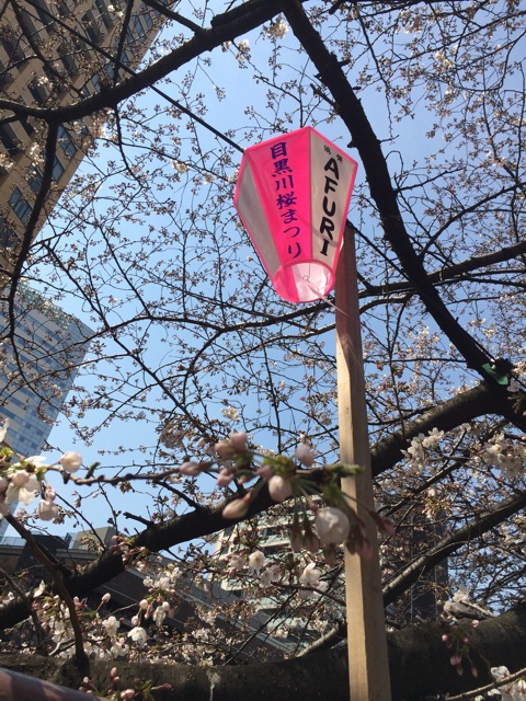 f:id:like_little_children:20150330175852j:plain f:id:like_little_children:20150330175852j:plain