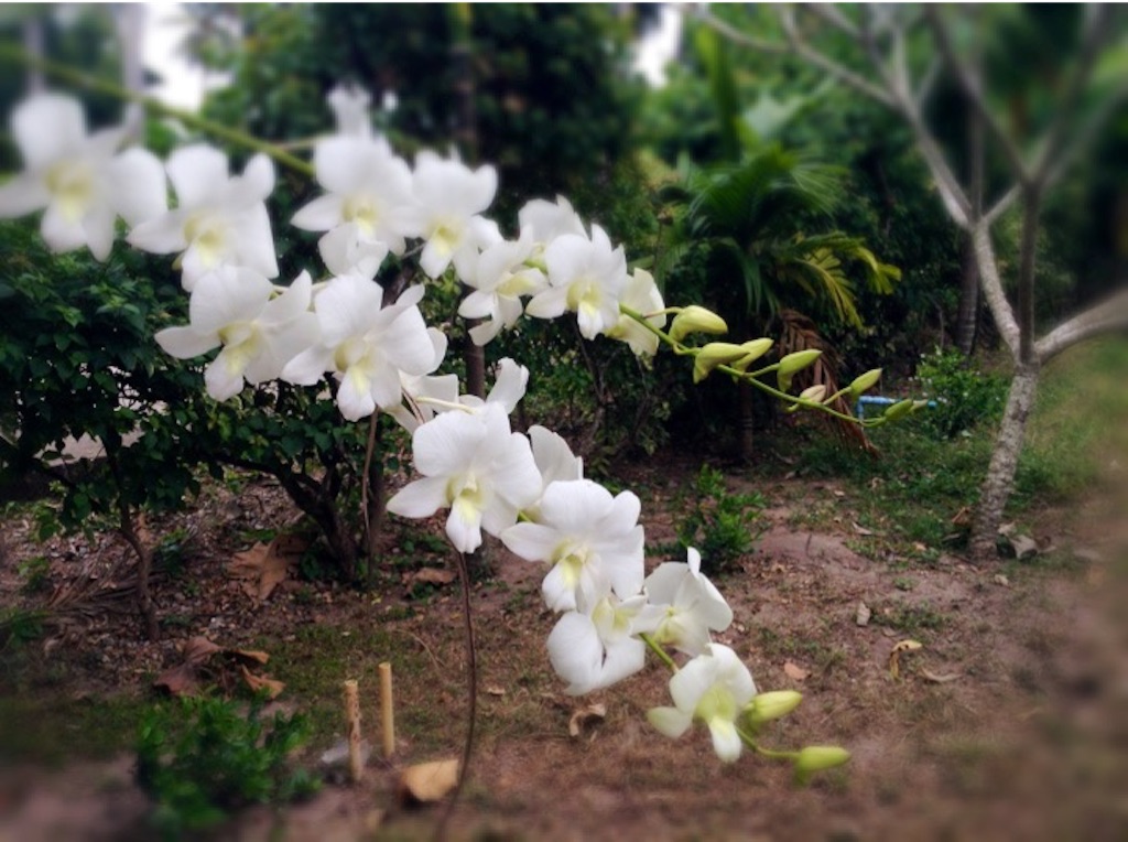 f:id:lila2332:20151222145623j:image f:id:lila2332:20151222145623j:image