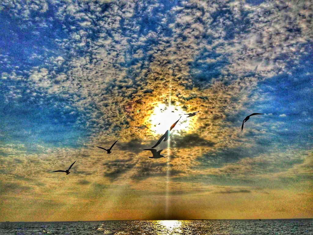 f:id:limtwilight:20151215062432j:image f:id:limtwilight:20151215062432j:image