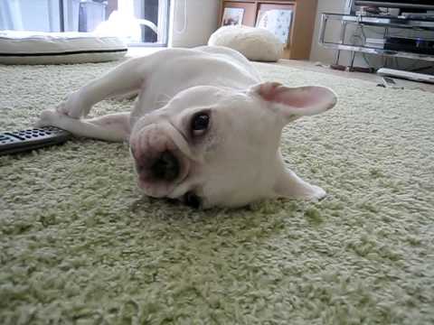 f:id:link-sekiya:20150415171009j:plain f:id:link-sekiya:20150415171009j:plain