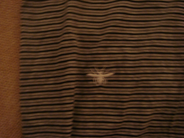 f:id:lino:20090703222112j:image:w200 f:id:lino:20090703222112j:image:w200