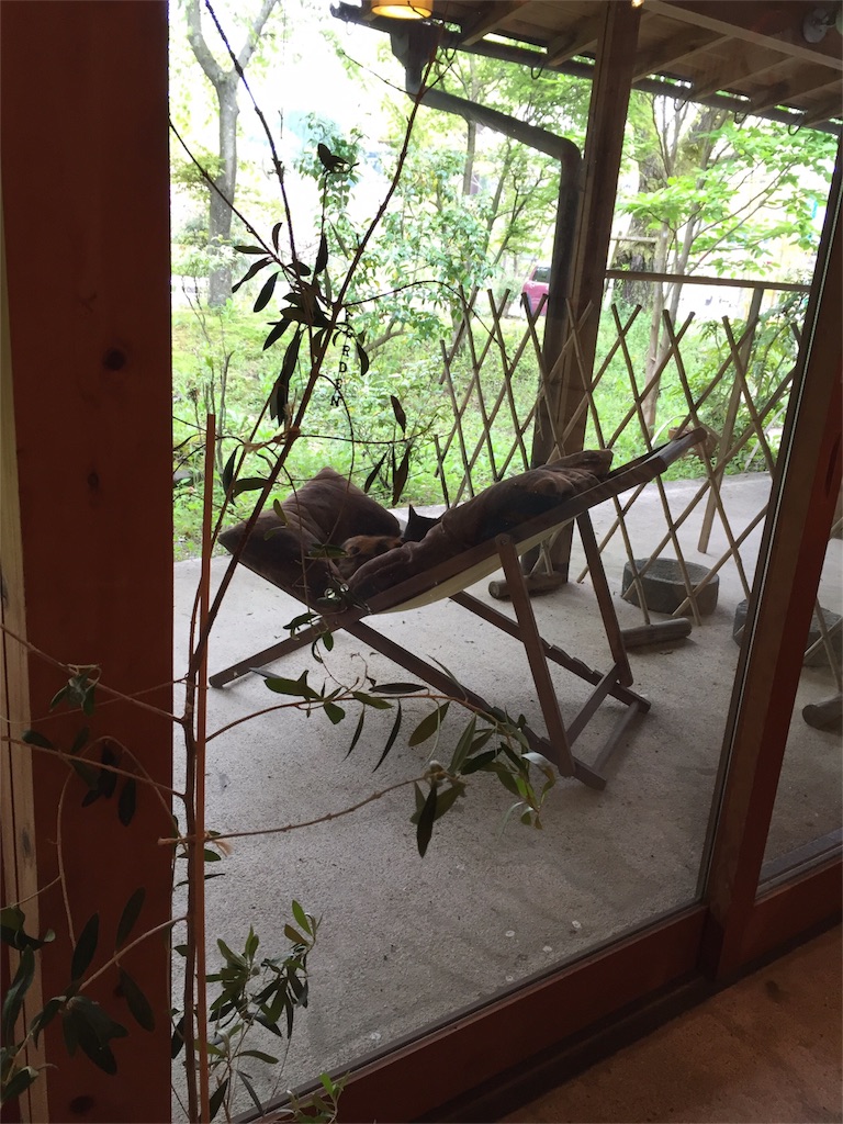 f:id:linonature:20160426225637j:image f:id:linonature:20160426225637j:image