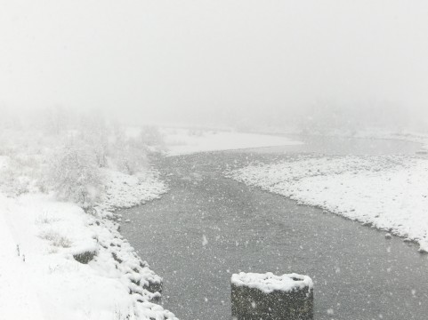 f:id:livescalmly:20151119155856j:plain f:id:livescalmly:20151119155856j:plain