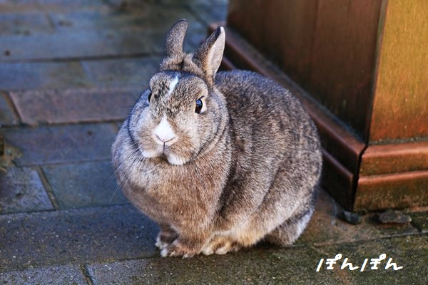 f:id:livescalmly:20160106212251j:plain f:id:livescalmly:20160106212251j:plain