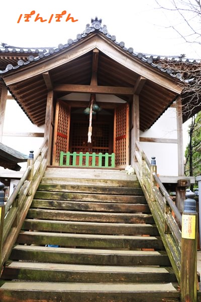 f:id:livescalmly:20160106212252j:plain f:id:livescalmly:20160106212252j:plain