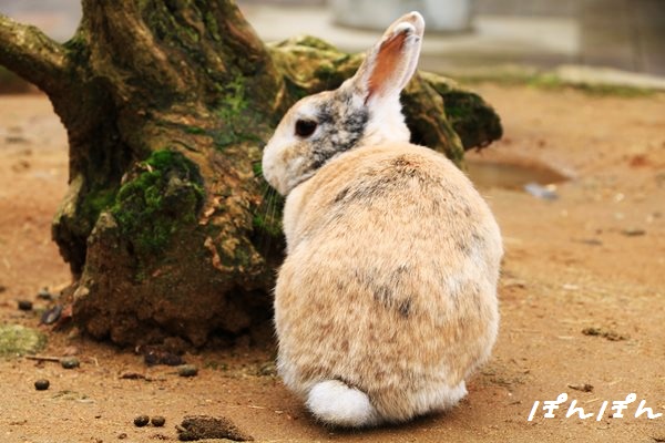 f:id:livescalmly:20160106212253j:plain f:id:livescalmly:20160106212253j:plain