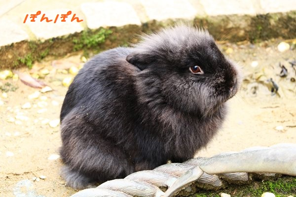 f:id:livescalmly:20160106212255j:plain f:id:livescalmly:20160106212255j:plain