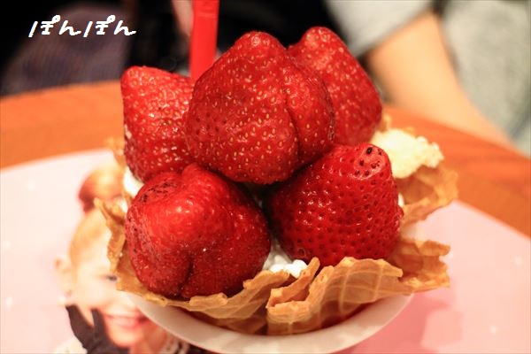 f:id:livescalmly:20160208164514j:plain