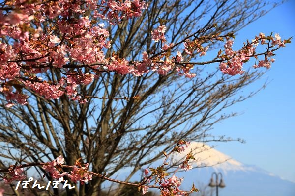 f:id:livescalmly:20160309141423j:plain f:id:livescalmly:20160309141423j:plain