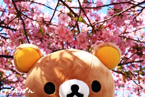 f:id:livescalmly:20160309141424j:plain f:id:livescalmly:20160309141424j:plain