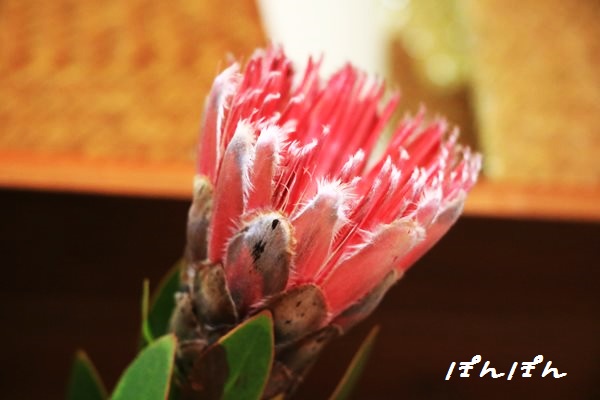 f:id:livescalmly:20160315205900j:plain f:id:livescalmly:20160315205900j:plain