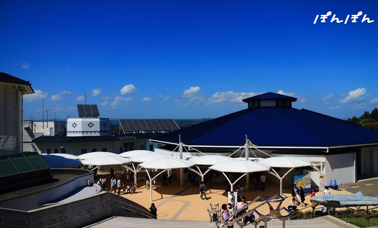 f:id:livescalmly:20160524200611j:plain f:id:livescalmly:20160524200611j:plain