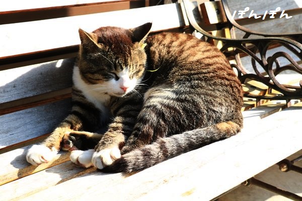 f:id:livescalmly:20160531131303j:plain f:id:livescalmly:20160531131303j:plain