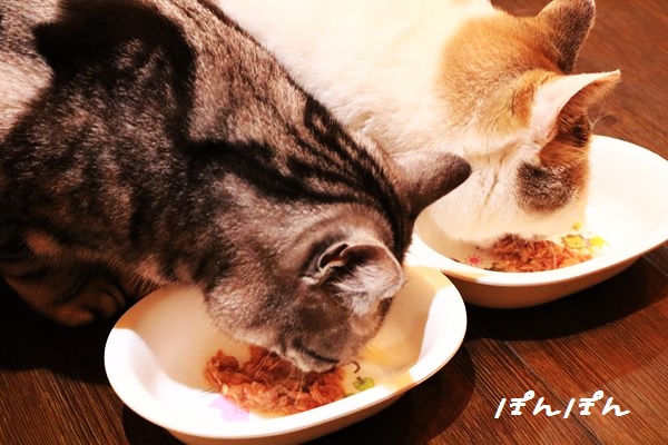 f:id:livescalmly:20160602210505j:plain f:id:livescalmly:20160602210505j:plain