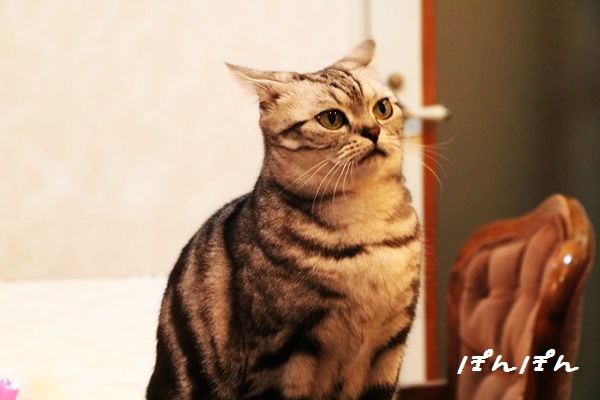 f:id:livescalmly:20160602210506j:plain f:id:livescalmly:20160602210506j:plain