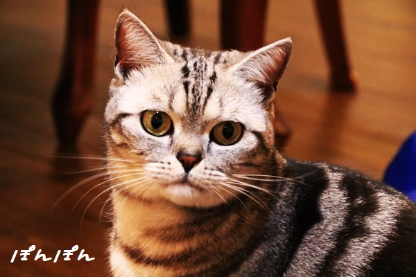 f:id:livescalmly:20160602210507j:plain f:id:livescalmly:20160602210507j:plain