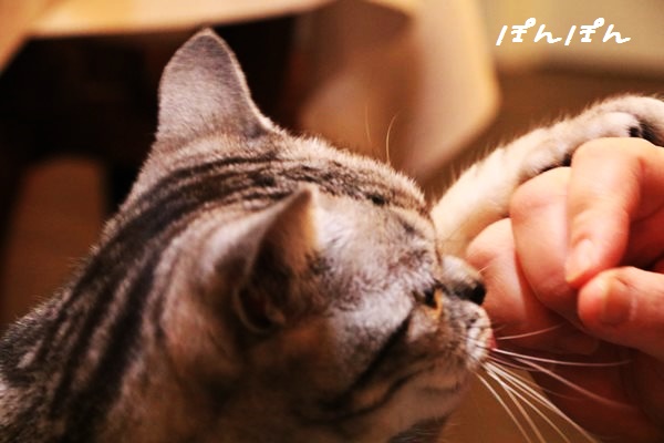 f:id:livescalmly:20160602210508j:plain f:id:livescalmly:20160602210508j:plain