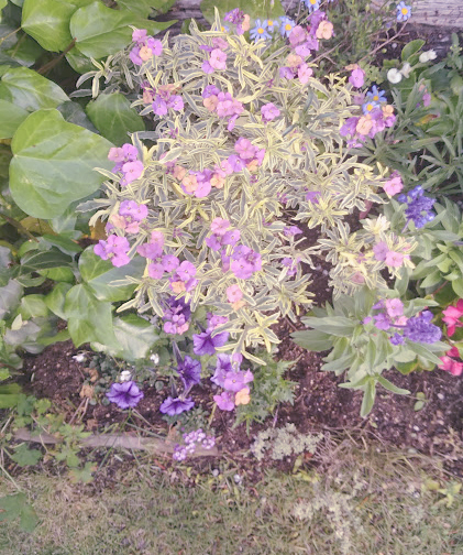 f:id:logequal:20150524200025j:plain f:id:logequal:20150524200025j:plain