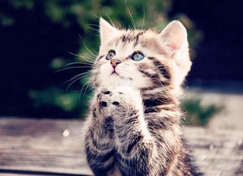 f:id:lollipop-candy-syndrome:20160130180725j:plain