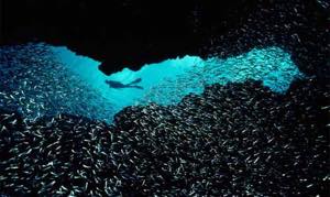 f:id:lord_cashew:20150817192025j:plain f:id:lord_cashew:20150817192025j:plain