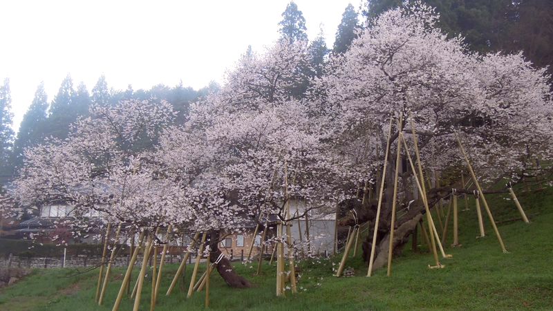 f:id:los_endos:20130202201624j:image:w510 f:id:los_endos:20130202201624j:image:w510