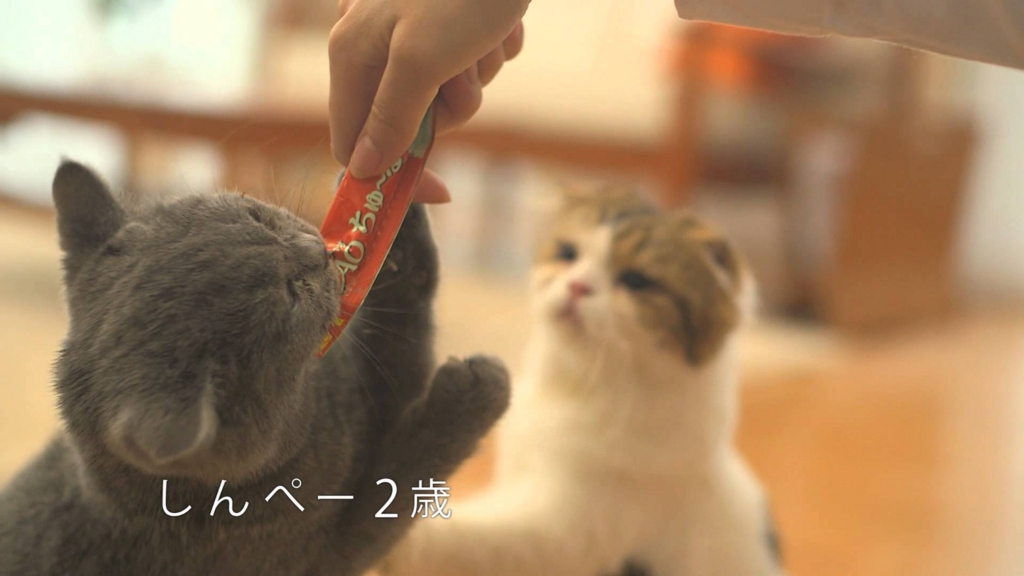 f:id:love-musicflavor0928:20150804224340j:plain