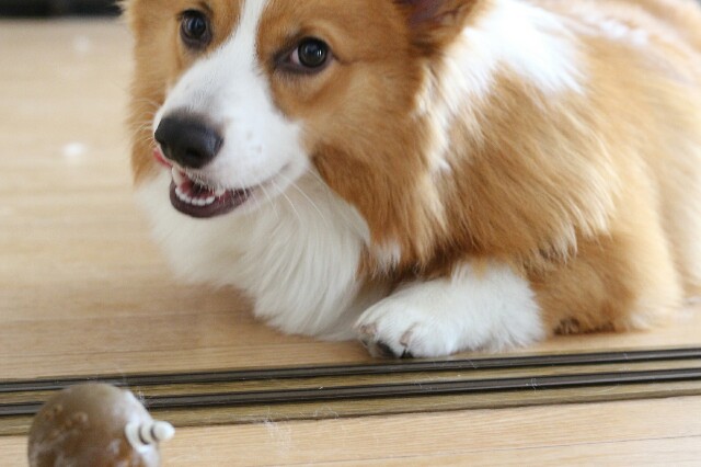 f:id:love-ojyaga:20150820191117j:image f:id:love-ojyaga:20150820191117j:image