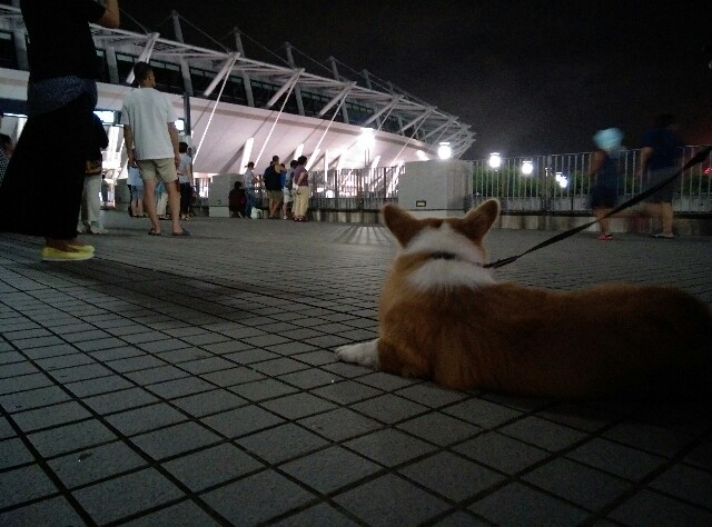 f:id:love-ojyaga:20150823184245j:image f:id:love-ojyaga:20150823184245j:image
