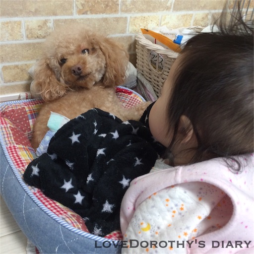 f:id:loveDorothy:20160129230719j:image f:id:loveDorothy:20160129230719j:image